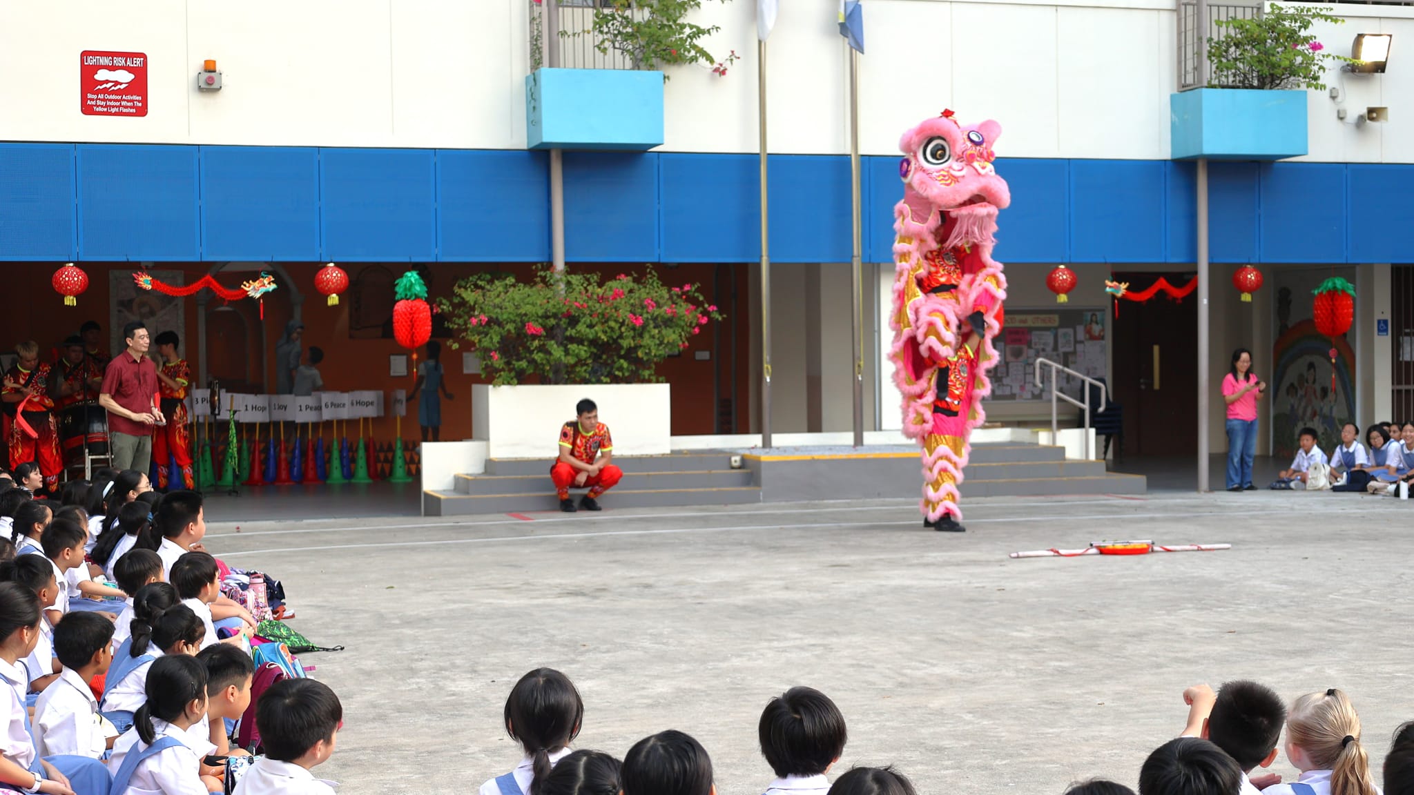 Chinese New Year Celebration